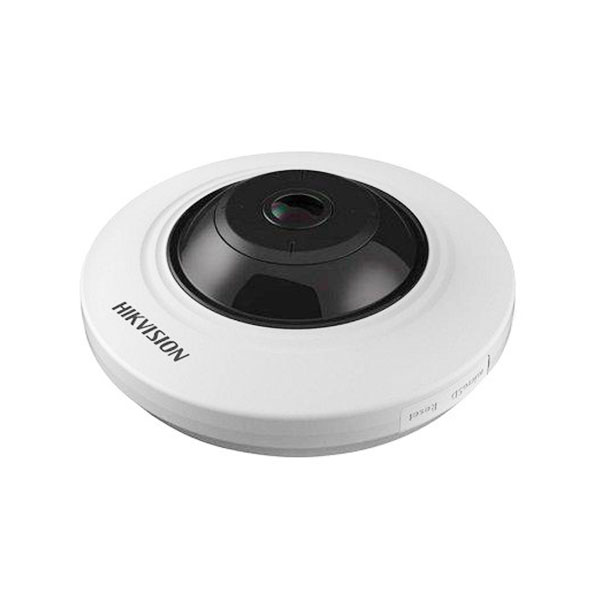 A fisheye CCTV camera