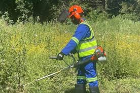 grass-cutting by a one man in Juba, South Sudan